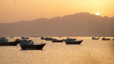 Vessels pass through the Strait of Hormuz near Musandam, Oman, amid regional tensions.
