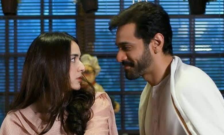 Yumna Zaidi and Wahaj Ali