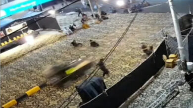14 injured as speeding car rams into Shia religious congregation in Pakistan