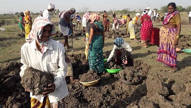Telangana farmers working in the field, planting crops and tending to the land.