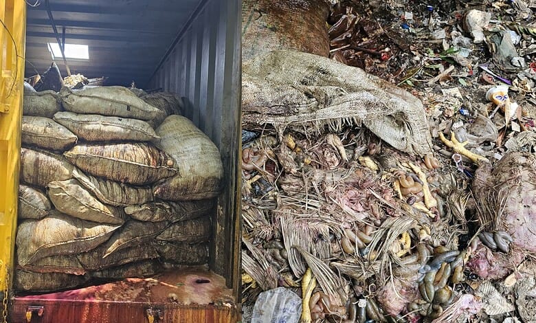 H-Fast seizes 90 tonne chicken waste used as feed in aquaculture
