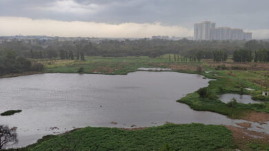 Hyderabad rains