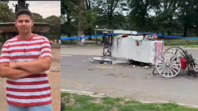 Indian teen dies in accident ridign horse-drawn carriage