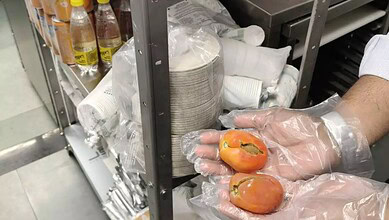 Person handling tomatoes with gloves in a food safety inspection setting.