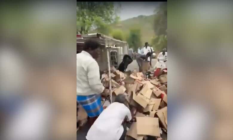 Group of people sorting and stacking cardboard boxes outdoors in a rural setting with trees and hills in.