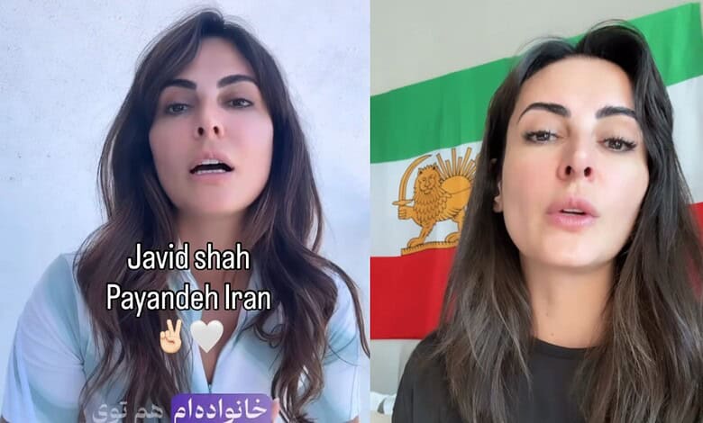 ‘Activism isn’t measured publicly’: Mandana Karimi on staying silent about Iran
