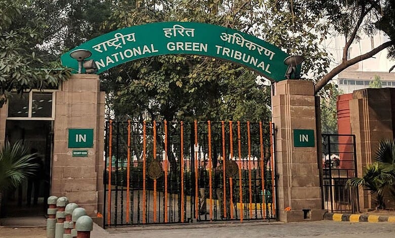 Entrance gate of the National Green Tribunal with signage in Hindi and English.