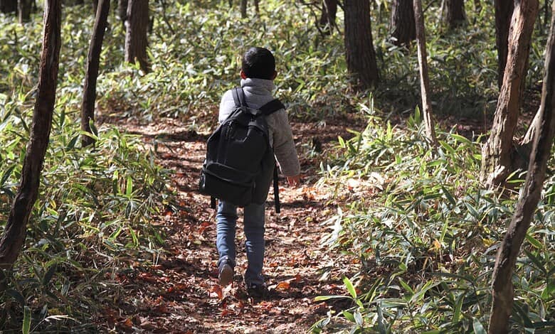 Children trekking through a dense forest in Karnataka during daytime.