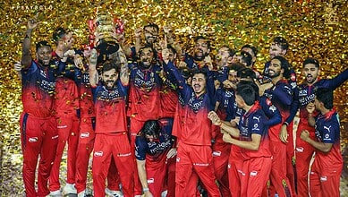Celebrating cricket team victory with players in red and blue uniforms amidst golden confetti.