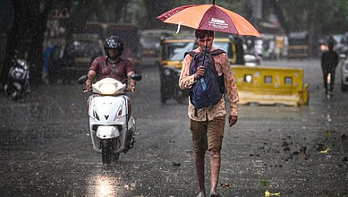 Rains