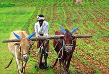 Telangana activists warn Congress against failing to deliver its promise on the implementation of the tenant farmers' rights in the state.