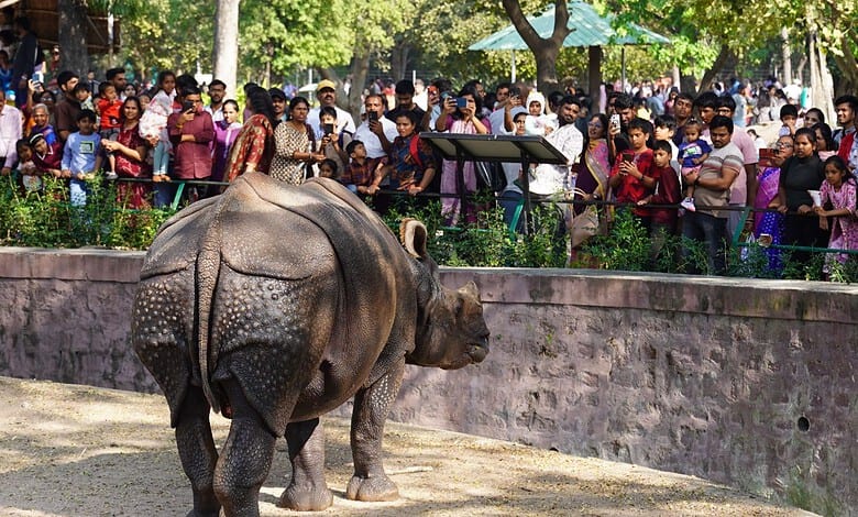 Over 24,000 visitors flock to Hyderabad Zoo on Sunday