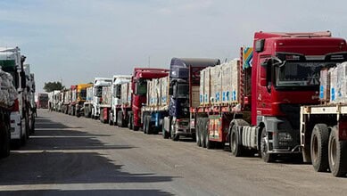 A line of various trucks parked along a road, ready for transportation or delivery.