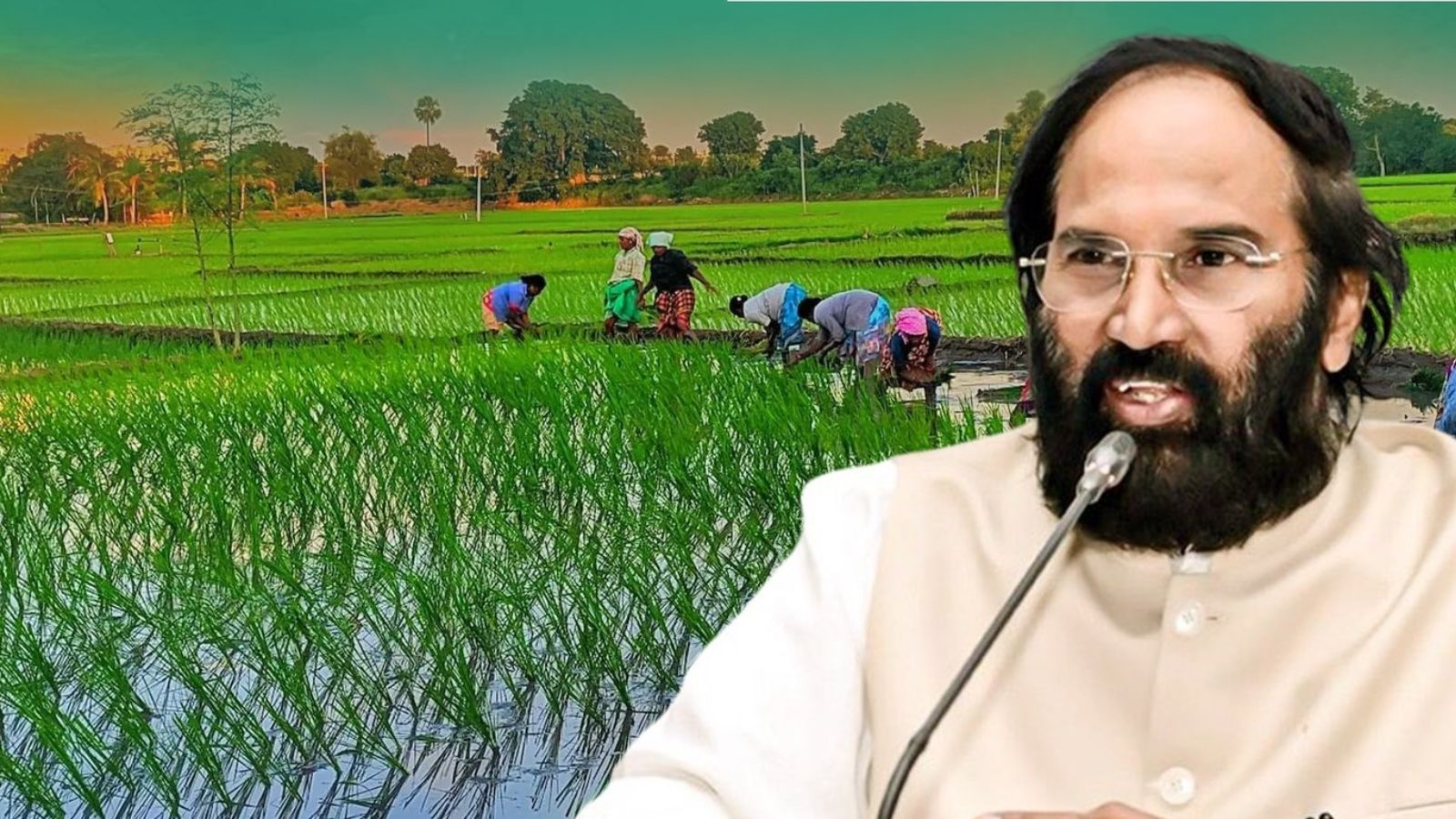 A man with glasses and a beard speaking into a microphone in front of a lush green rice field during suns.