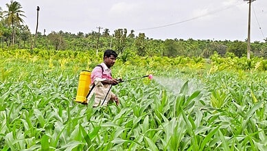 Spraying pesticides in a lush green crop field to protect plants and improve yield.
