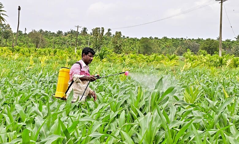 Spraying pesticides in a lush green crop field to protect plants and improve yield.