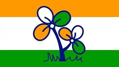 Symbolic illustration of a plant with orange and green leaves on a tricolour background of orange, white,.