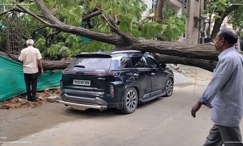Tree fallen on car in Kukatpally after storm, causing damage and blocking the road.