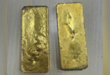 Two gold bars with rough surfaces and uneven edges on a metallic surface.