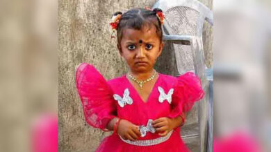 2-year-old goes missing from Andhra Plantation