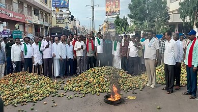 Mango growers stage protests across Kolar district, demand MSP