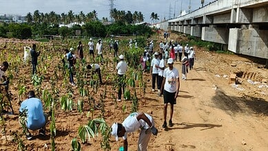 Bengaluru creates Guinness World Record by planting 1.5 mn saplings