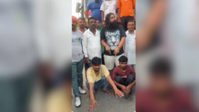cow vigilantes attack