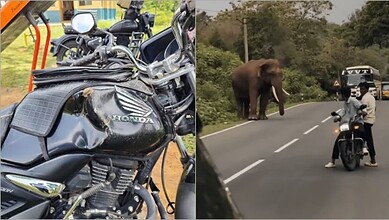 Teachers escape elephant attack in Karnataka; bike damaged