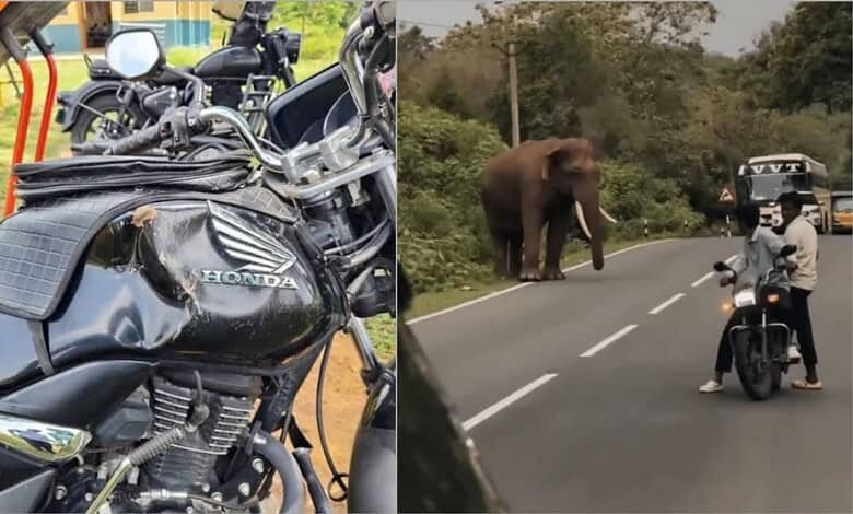 Teachers escape elephant attack in Karnataka; bike damaged