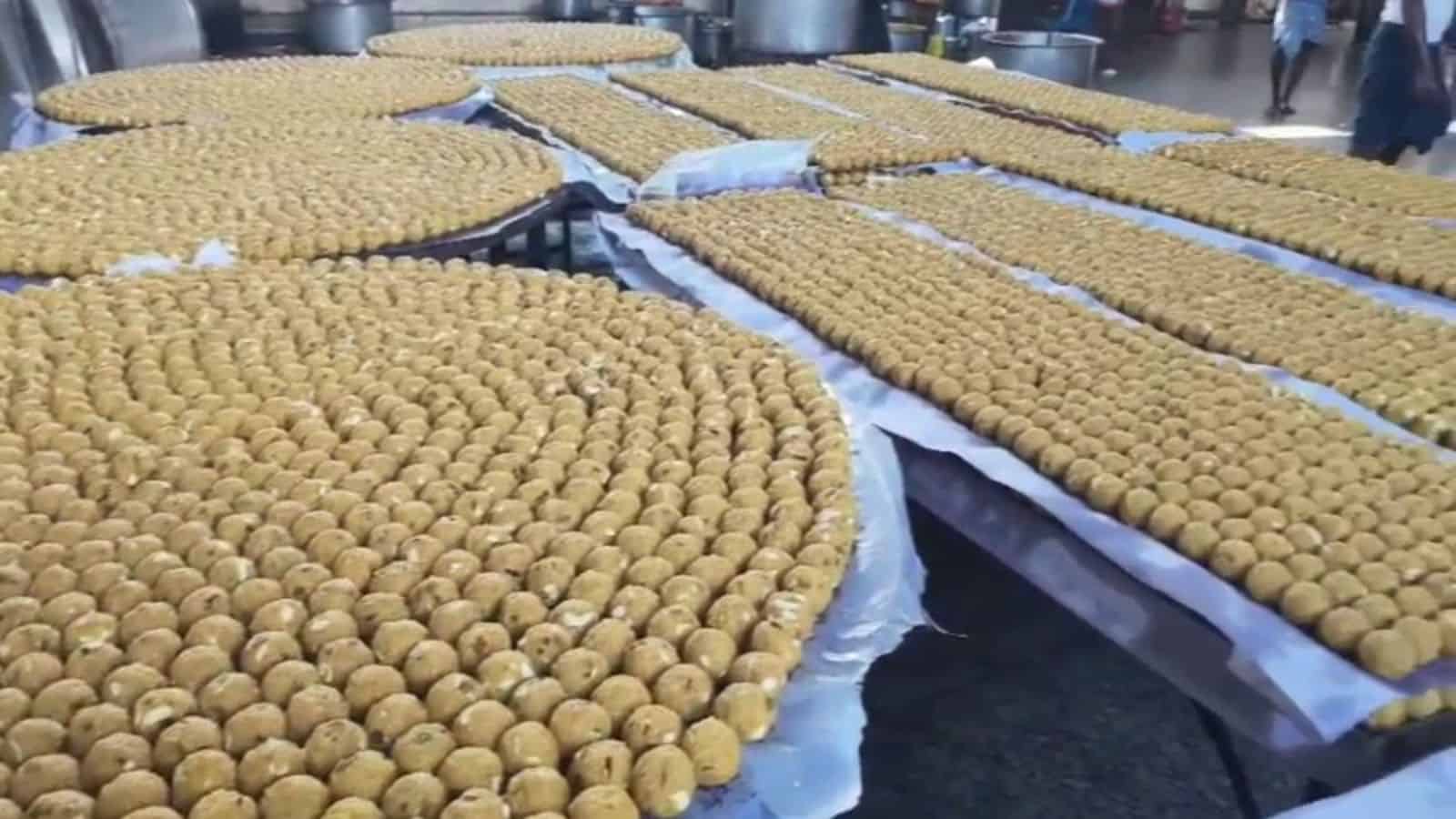 Freshly baked cookies arranged in large trays at a bakery.
