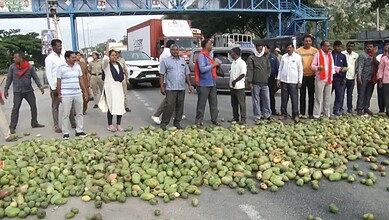 Karnataka mango growers protest over price crash blocking road with mangoes.