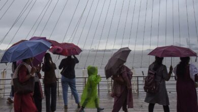 Kochi: Visitors at the Marine Drive on a rainy afternoon, in Kochi, Saturday, May 23, 2026. (PTI Photo)