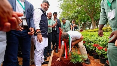 BDA targets Guinness record with 1.5 million saplings