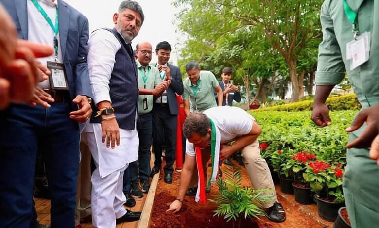 BDA targets Guinness record with 1.5 million saplings