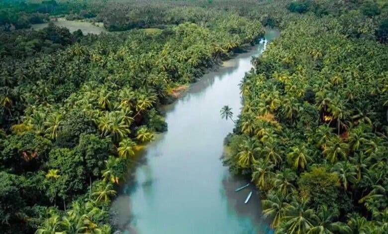 Anand Mahindra praises Karnataka’s hidden gem Honavar