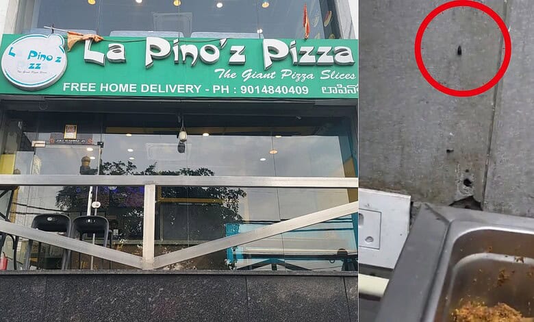 Pest droppings and damage on the sidewalk outside La Pino'z Pizza in Hyderabad.
