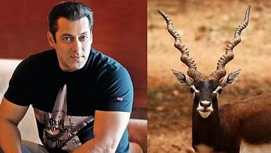 A man sitting indoors next to a large antelope with twisted horns in a natural setting.
