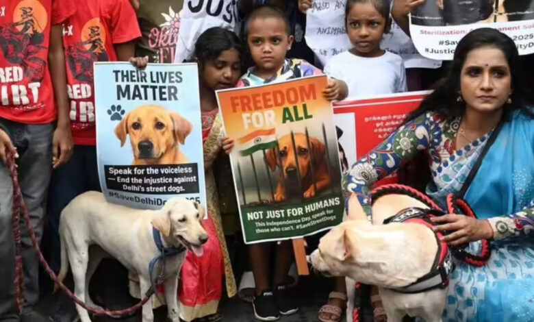 stray dogs India