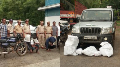 40 kg of Ganja Seized Across Three Cases...