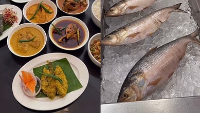 Fresh hilsa fish displayed on ice at the festival in Gachibowli.