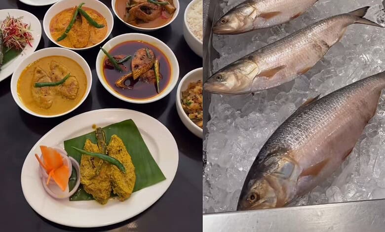 Fresh hilsa fish displayed on ice at the festival in Gachibowli.
