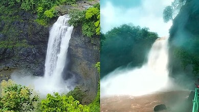 Scenic waterfall surrounded by lush green trees in a natural setting.