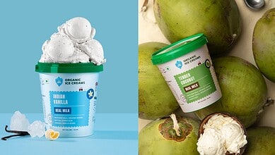 Organic ice cream tub with vanilla flavour and fresh mangoes for Indian organic dessert.