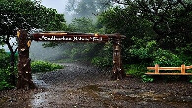 A misty forest trail in Maharashtra with a wooden sign reading 'Andharban Nature Trail'.