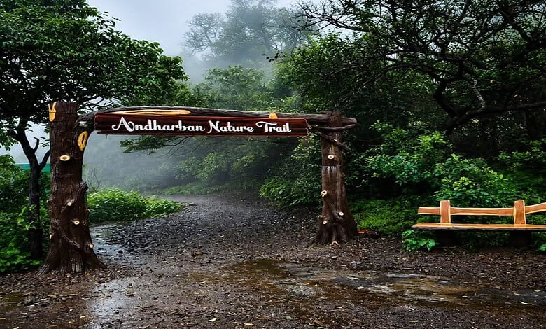 A misty forest trail in Maharashtra with a wooden sign reading 'Andharban Nature Trail'.