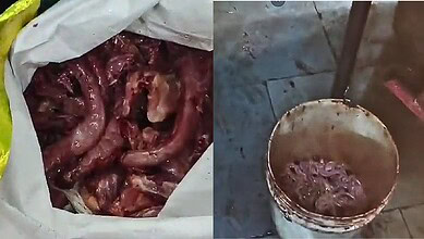 Raw meat and a bucket of blood on a tiled floor, possibly in a butchery or slaughterhouse.