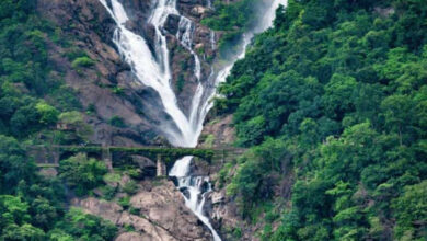 Dudhsagar Waterfalls,