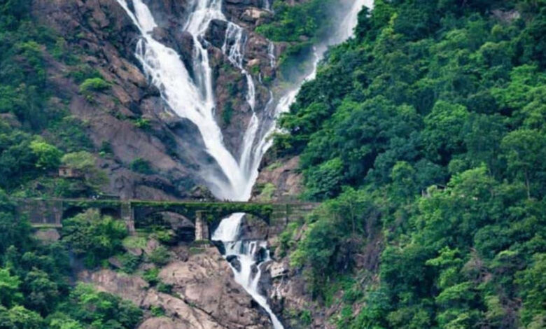 Dudhsagar Waterfalls,