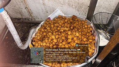 Deep-fried snacks in a large container at a street food stall in Hyderabad, India.