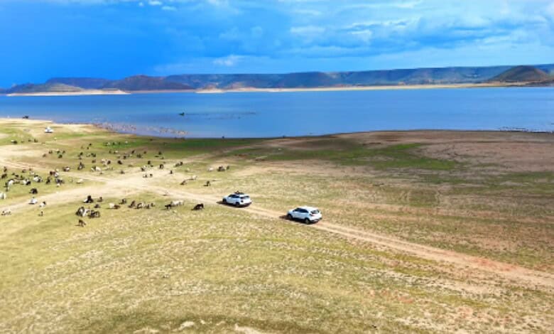 Scenic view of a large water body near Hyderabad, called 'Ladakh of Telangana', with vehicles and grazing.